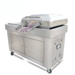 DZ-600/2SB double chamber vacuum packaging machine